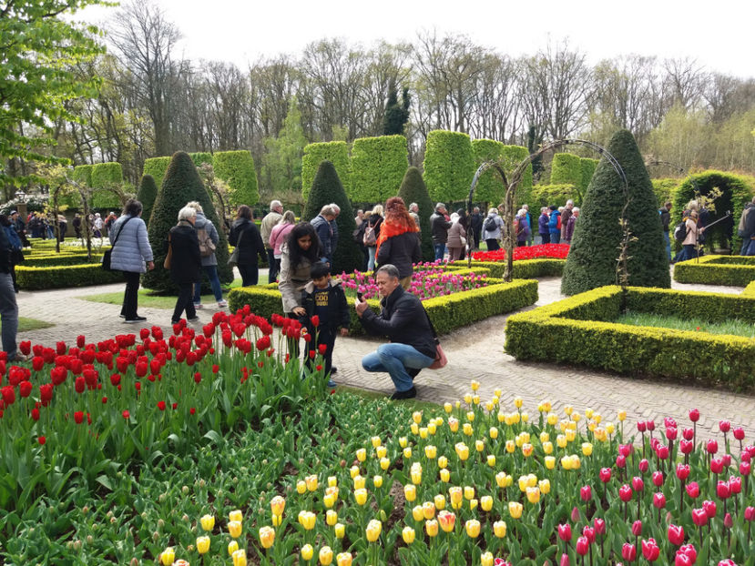 Picture 445 - Keukenhof Olanda-aprilie 2017