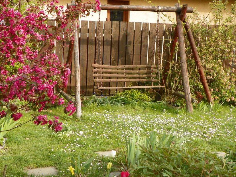 26 apr (47) - Gradina 2017