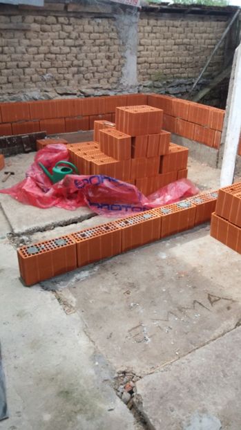  - VOLIERA MEA MODESTA