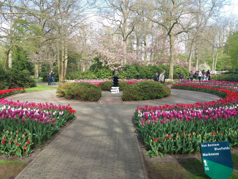 Picture 616 - Keukenhof Olanda-aprilie 2017