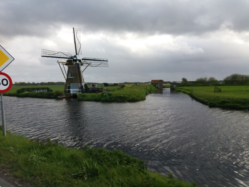 Picture 654 - Keukenhof Olanda-aprilie 2017