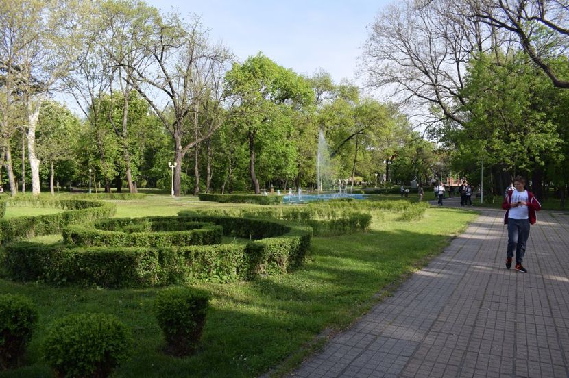  - 2017 -Timisoara