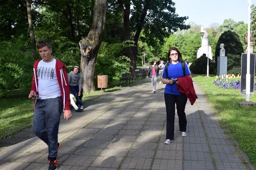  - 2017 -Timisoara