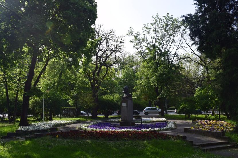  - 2017 -Timisoara