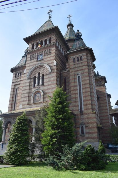  - 2017 -Timisoara