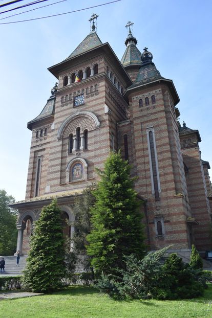 - 2017 -Timisoara