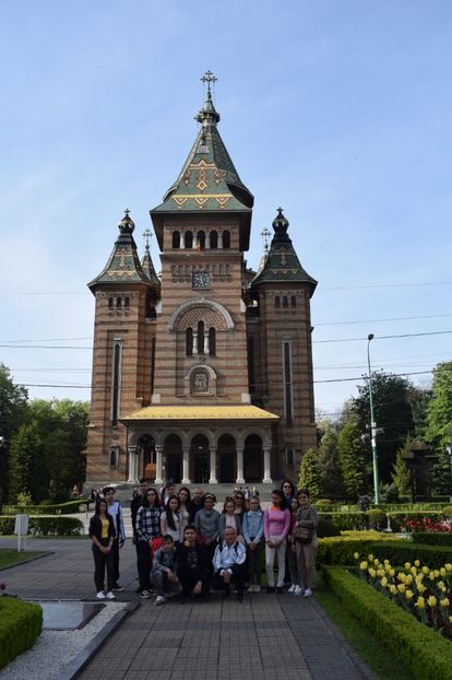  - 2017 -Timisoara