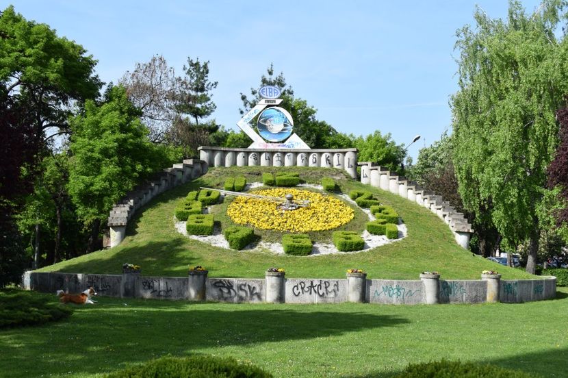  - 2017 -Timisoara