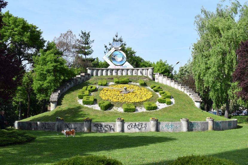  - 2017 -Timisoara