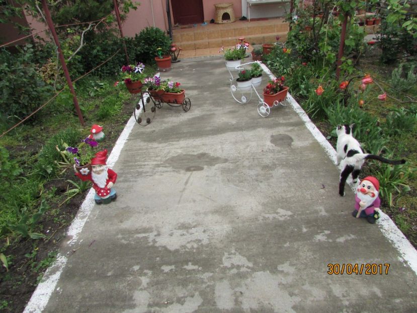  - DIN GRĂDINA DE FLORI ȘI LEGUME - 2017