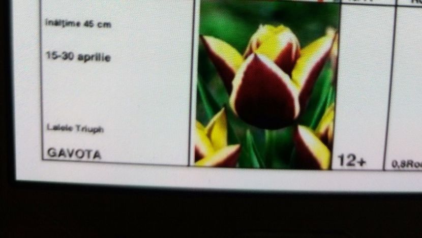  - Achizitii toamna 2016