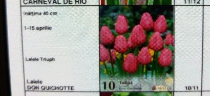  - Achizitii toamna 2016