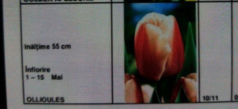  - Achizitii toamna 2016