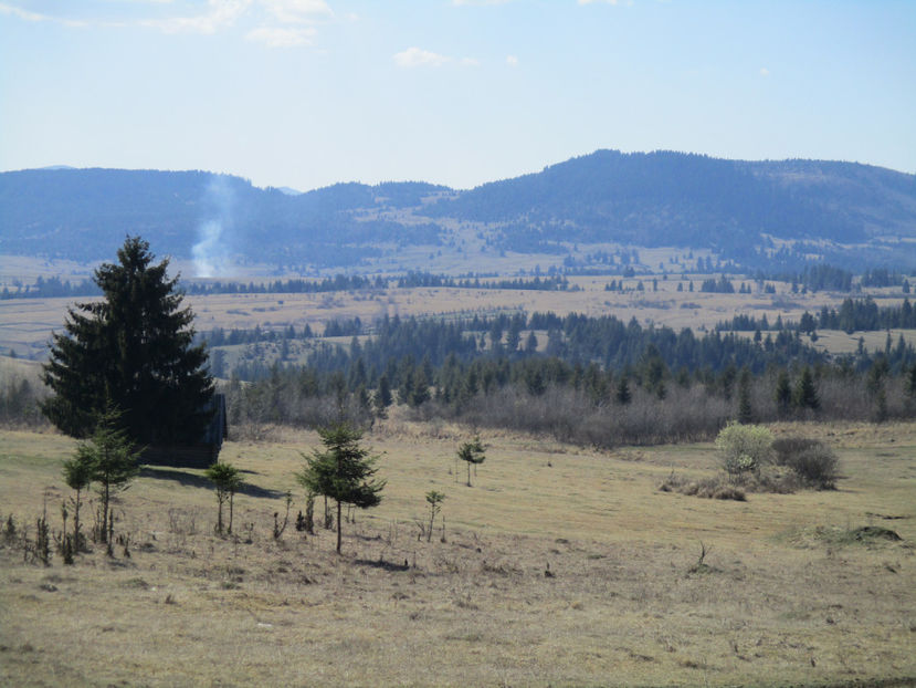 Arde iarba uscata - Primavara 2017 Toplita Harghita