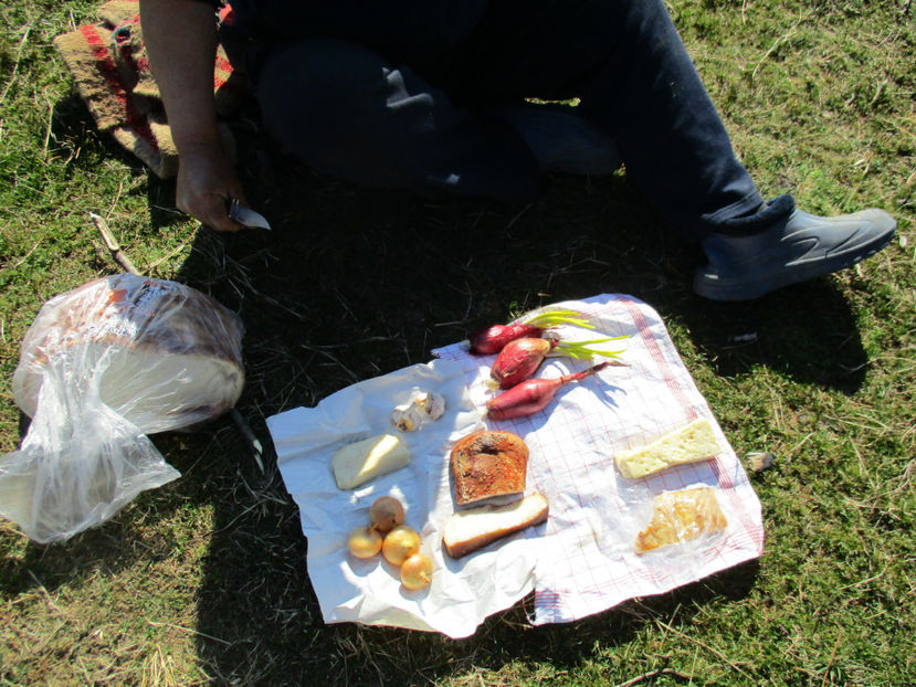 Asa da masa,,, - Primavara 2017 Toplita Harghita