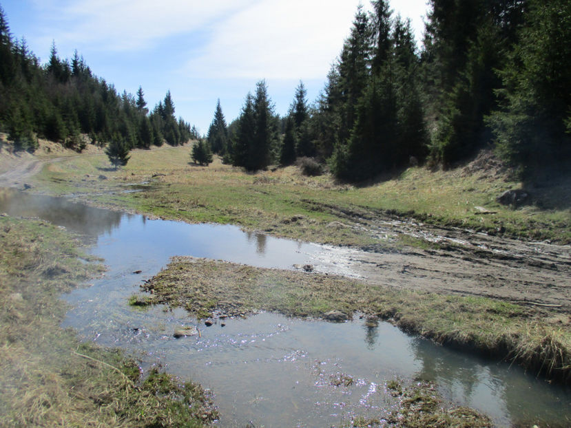 Avem si apa de baut - Primavara 2017 Toplita Harghita