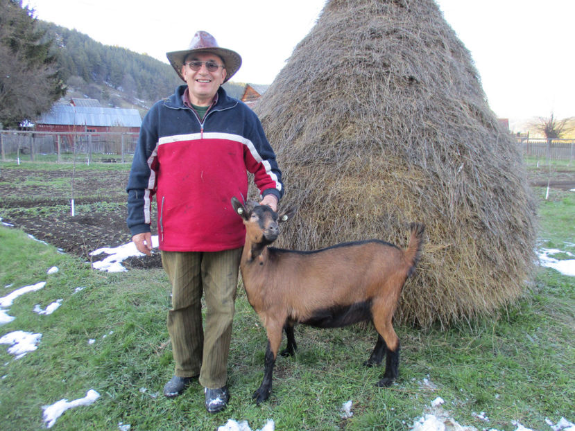 Bambi gestanta - Primavara 2017 Toplita Harghita