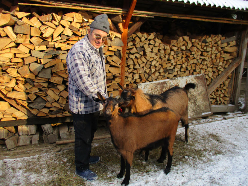 Bambi la monta la Spiridon - Primavara 2017 Toplita Harghita