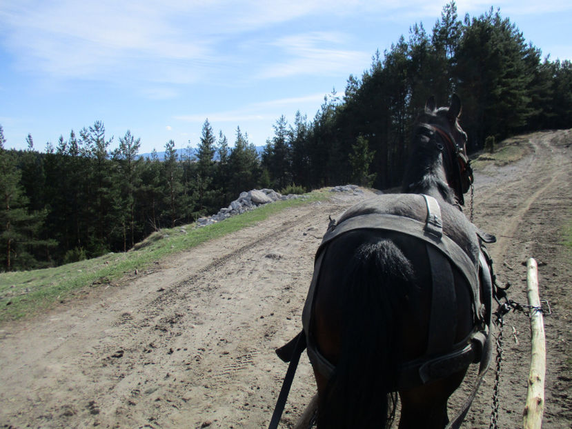 Loti atent la drum - Primavara 2017 Toplita Harghita