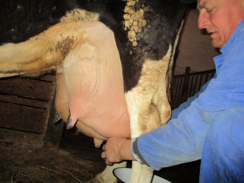 Mulsa la lighean,,, - Primavara 2017 Toplita Harghita