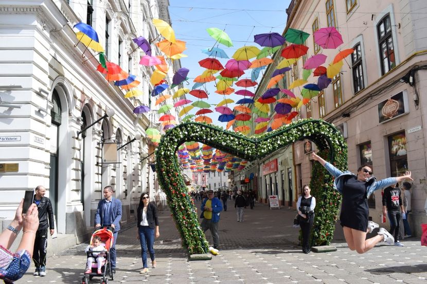  - 2017 -Timisoara