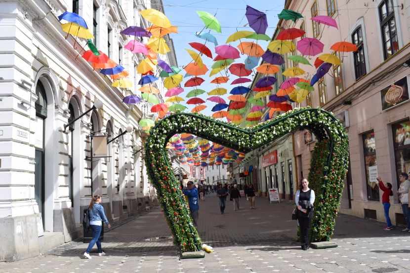  - 2017 -Timisoara