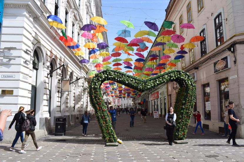  - 2017 -Timisoara