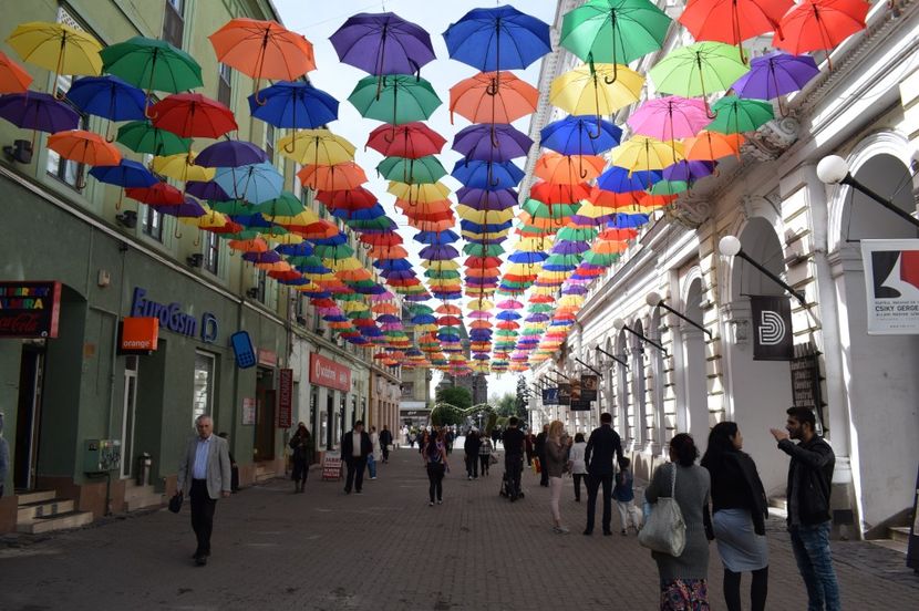  - 2017 -Timisoara
