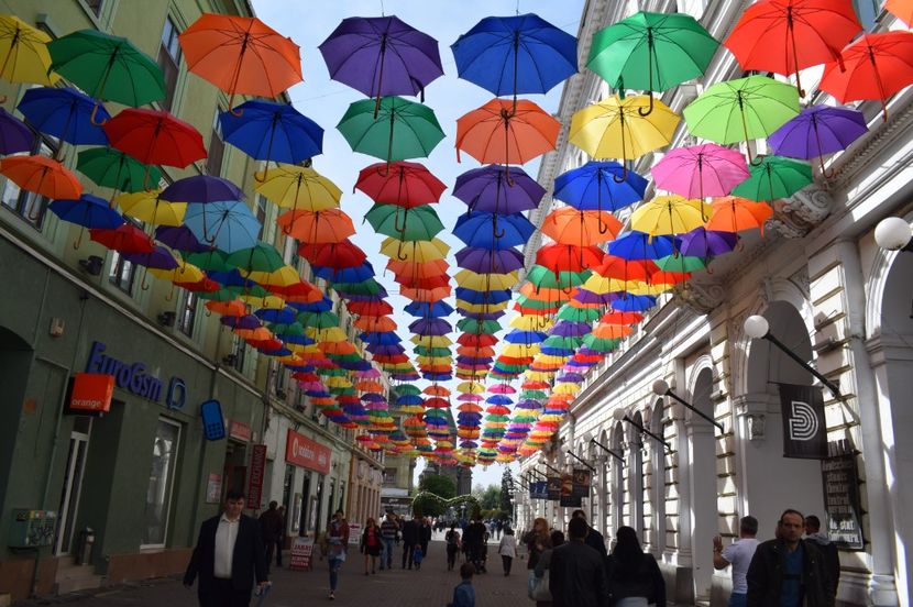  - 2017 -Timisoara