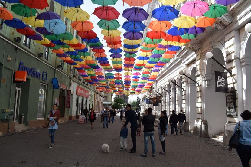  - 2017 -Timisoara