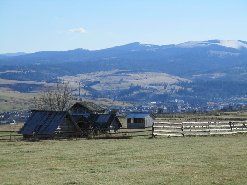 Stani si colibe-4 - Primavara 2017 Toplita Harghita