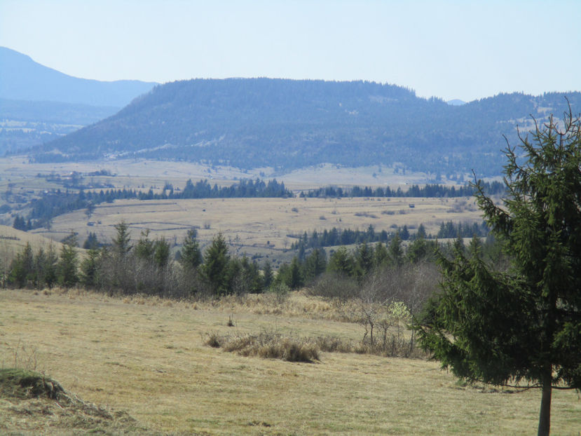 Tarnita-67 - Primavara 2017 Toplita Harghita