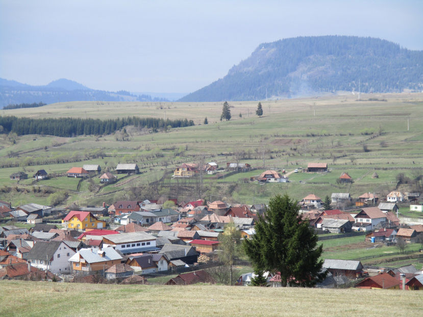 Toplita municipiu frumos - Primavara 2017 Toplita Harghita