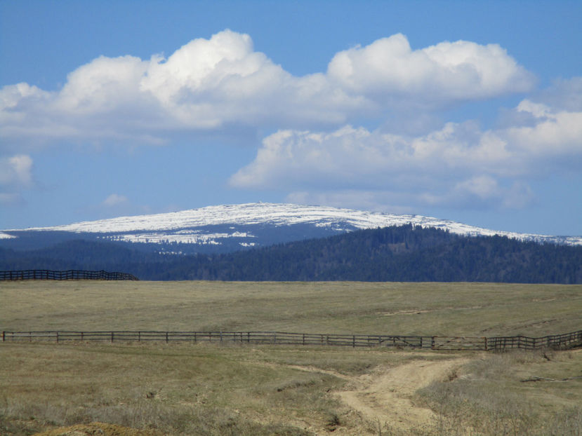 Zapada inca in Calimani-76 - Primavara 2017 Toplita Harghita