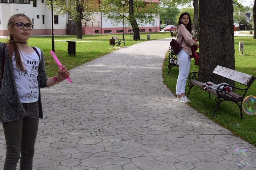  - 2017 -Timisoara