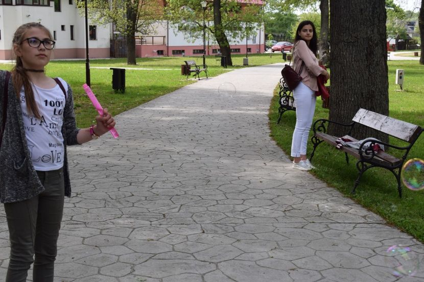  - 2017 -Timisoara