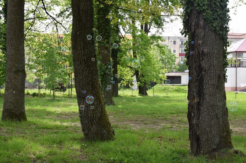  - 2017 -Timisoara