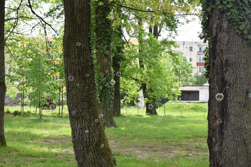  - 2017 -Timisoara