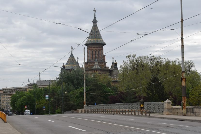  - 2017 -Timisoara