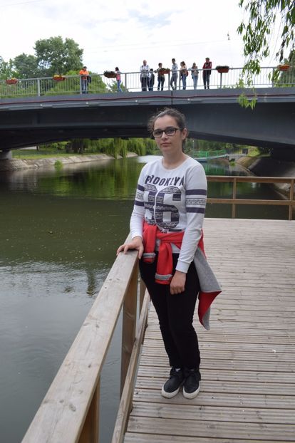  - 2017 -Timisoara