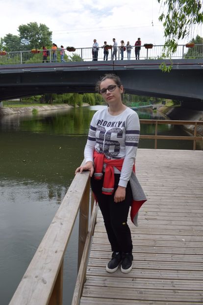 - 2017 -Timisoara