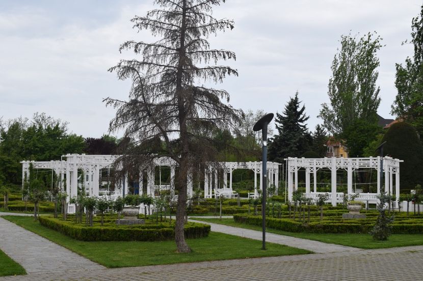  - 2017 -Timisoara