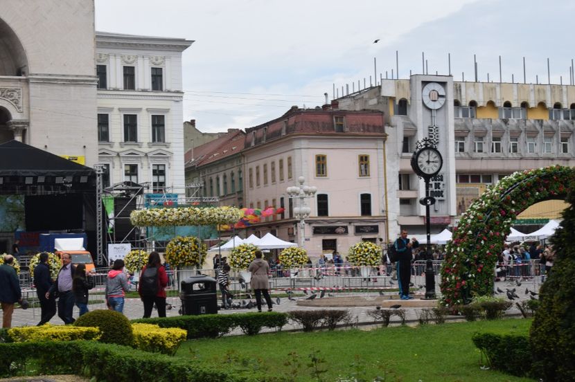  - 2017 -Timisoara