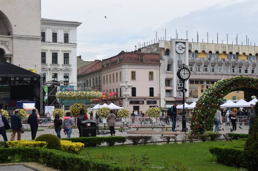  - 2017 -Timisoara