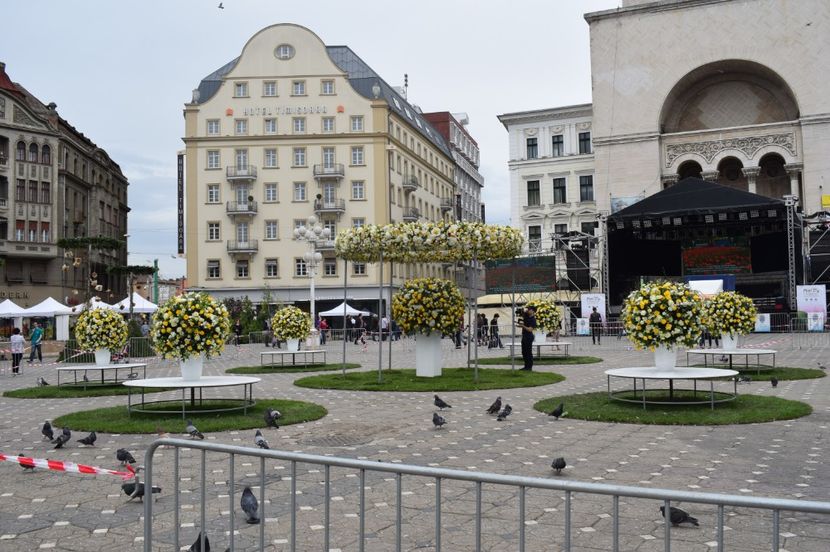  - 2017 -Timisoara