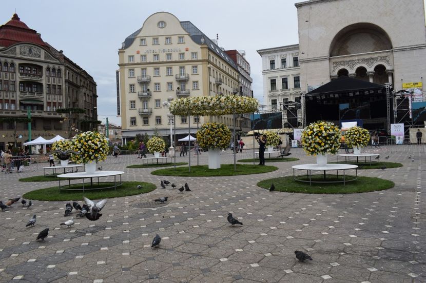  - 2017 -Timisoara