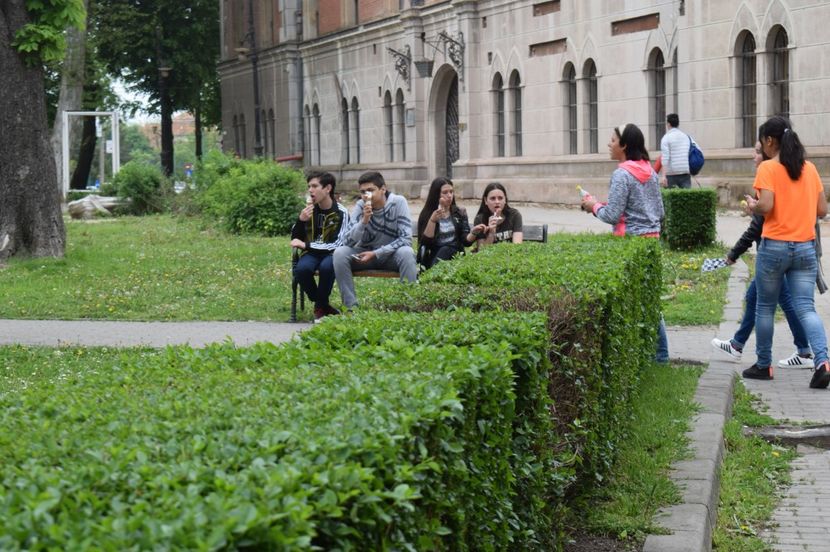  - 2017 - Timisoara - continuare