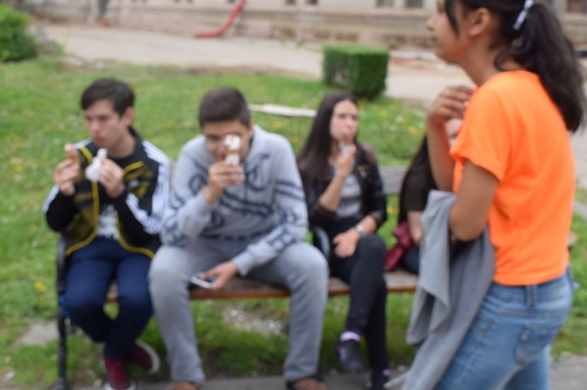  - 2017 - Timisoara - continuare