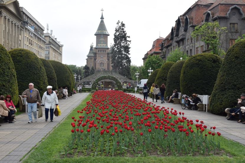  - 2017 - Timisoara - continuare