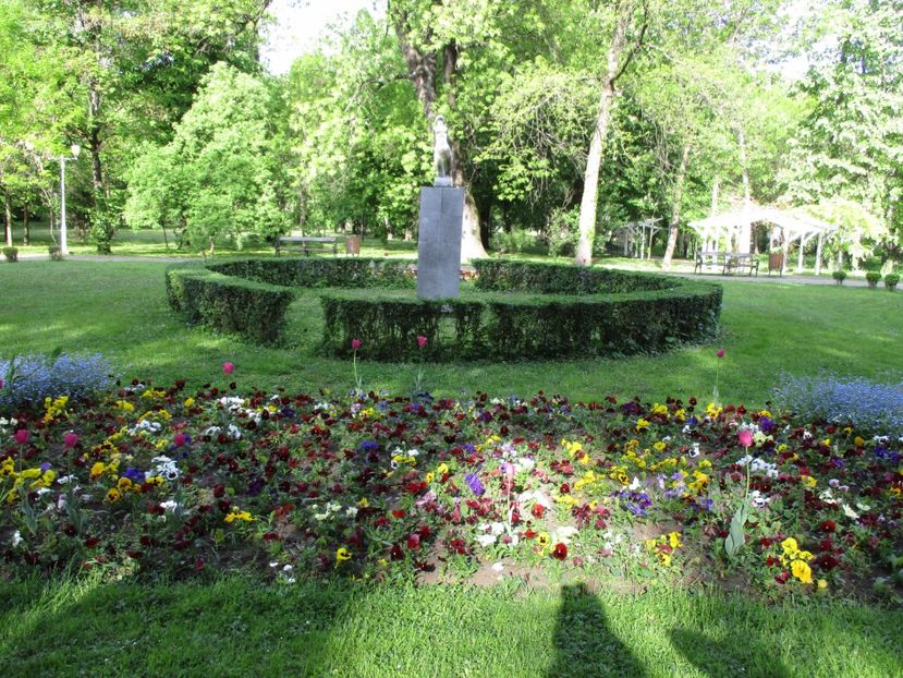  - 2017 - Timisoara - continuare